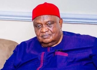 How My Father Died After Visit To Nnamdi Kanu In DSS Custody – Iwuanyanwu’s Son Emmanuel-Iwuanyanwu