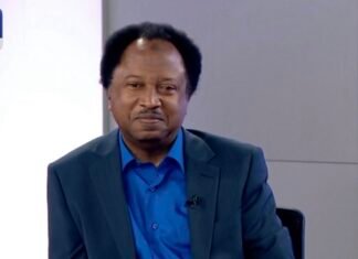 Why North Was Silent During Buhari’s Presidency – Shehu Sani Shehu Sani