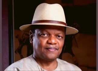 “I Challenge Him To Tell The Nation Through What Process He Chose Those He Appointed” – Peterside Reacts Strongly To Rivers Sole Administrator’s Appointments Atedo Peterside