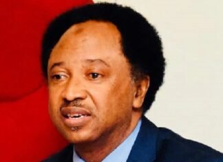 Shehu Sani Reacts Strongly As Trump Threatens Military Action In Nigeria Over ‘Killing Of Christians’ Shehu Sani