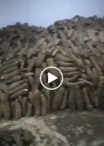 b6s2k9 What Chinese Farmer Did In Nigeria