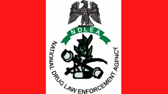 NDLEA NDLEA