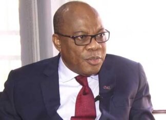 ‘I’d Rather Be Imprisoned Than Obey A Compulsory Voting Law’ – Agbakoba Reacts To Bill Mandating Compulsory Voting In Nigeria Olisa Agbakoba