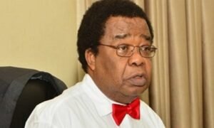 Bolaji Akinyemi