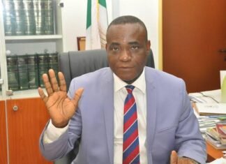 Why Tinubu May Not Have Projects To Show For Reelection – Enang