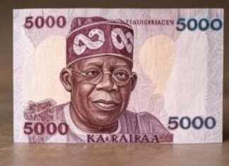Fact Check On Claim That CBN Has Unveiled New N5000 Note