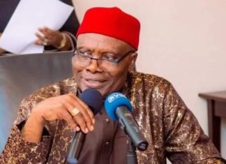 Why Wabara’s Suspension Is Illegal – PDP Adolphus Wabara