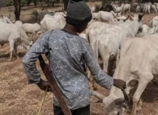 Many Killed As Suspected Herdsmen Attack Ebonyi Community