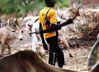 Suspected Herders Kill Farmers In Edo