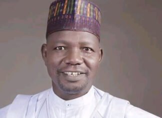 Why I ‘Abducted’ My Daughter From Ex-Wife – Bauchi Commissioner
