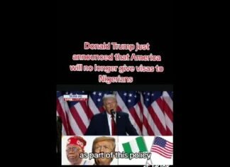 Fact Check On Claim That Donald Trump Announced America Will No Longer Give Visas To Nigerians