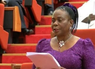 Former Minority Leader Olujimi Speaks With Fresh Revelation On Akpabio Amid Natasha’s Sexual Harassment Allegations