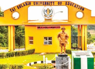 Tinubu Converts TASUED To Federal University