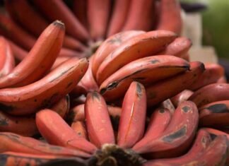 Health Benefits Of Red Bananas Red Bananas