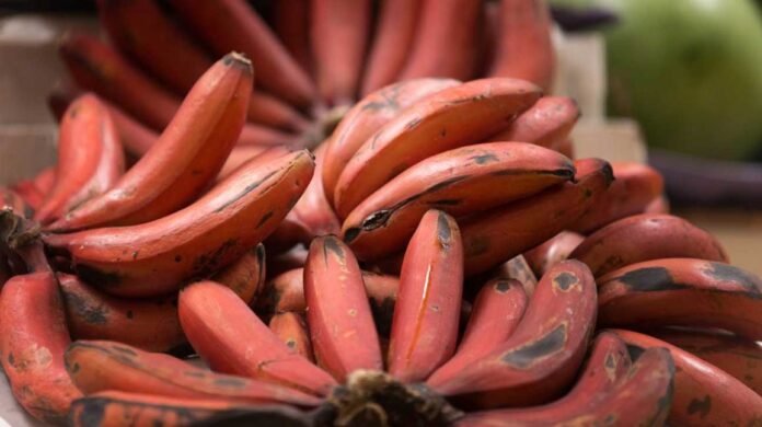 Red Bananas Red Bananas