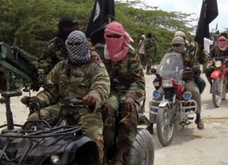 What Transpired When Boko Haram Invaded Community In Borno