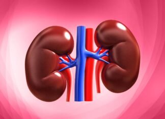 Daily Mistakes That Are Damaging Your Kidneys Kidneys