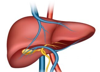 Habits That Affects Your Liver Liver