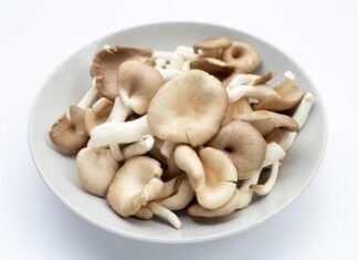 Health Benefits Of Mushrooms Mushrooms