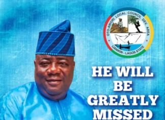 Nigerian Politician Dies After Prolonged Illness