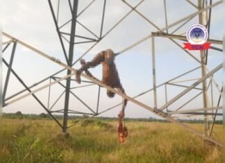 Suspected Transmission Tower Vandal Electrocuted In Ebonyi