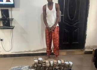 ‘Kidnapper’ Arrested With N13m Cash, Arms Along Kaduna-Jos Road