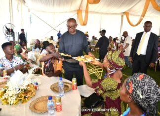 Why I Served Food At Public Event – Peter Obi