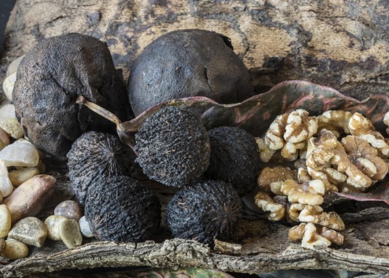 Walnuts