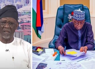 Tinubu’s Government Has Inflicted Severe Pain On Nigerians In Two Years – Ex-Minister