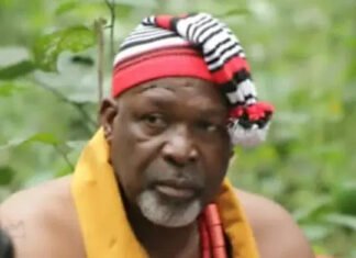 Veteran Nollywood Actor Tom Njemanze Is Dead