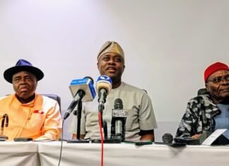 Names Of Top PDP Leaders Who Attended Southern Zoning Consultative Summit In Lagos