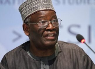 AU Gives Former Foreign Affairs Minister Gambari New Appointment Ibrahim Gambari