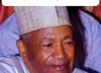 Ex-Plateau Military Administrator, Senator Mana Is Dead