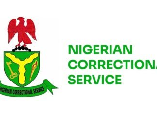 FG Sacks 15 Prison Officers, Sanctions 216 Nigerian Correctional Service