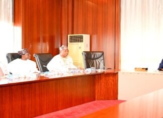What North-East Governors Are Demanding From Tinubu