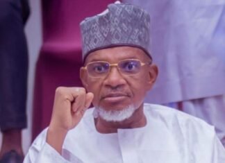 Kebbi Assembly Speaker Zuru Dies In Egypt