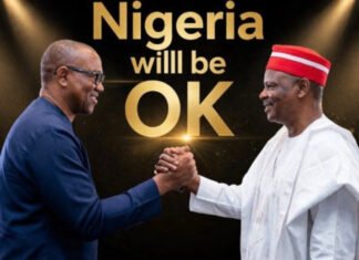 NDC Offers Obi, Kwankwaso Joint Presidential Ticket