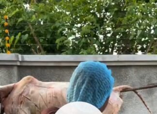Video Of Lady With Prominent Backside Grilling Large Chunk Of Meat Outdoors Sparks Reactions