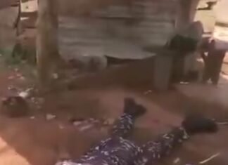 Police Take Action After Viral Video Shows Officer Rolling On Ground