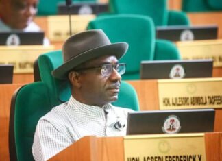 Bayelsa Lawmaker Agbedi Emerges House Minority Leader