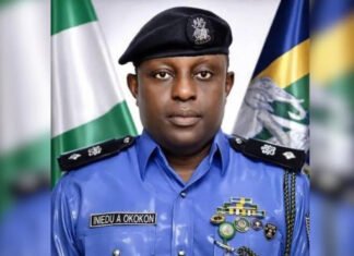Nigeria Police Appoints New Force Public Relations Officer