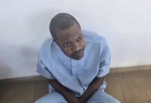 Fake Agency Scandal: How IG’s Special Forces Arrested Controversial DG In Osun Hideout