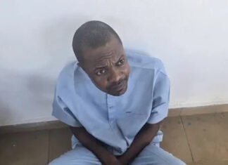 Fake Agency Scandal: How IG’s Special Forces Arrested Controversial DG In Osun Hideout