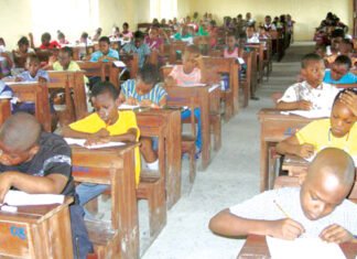 FG Releases 2026 Common Entrance Results