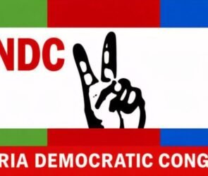 NDC Logo